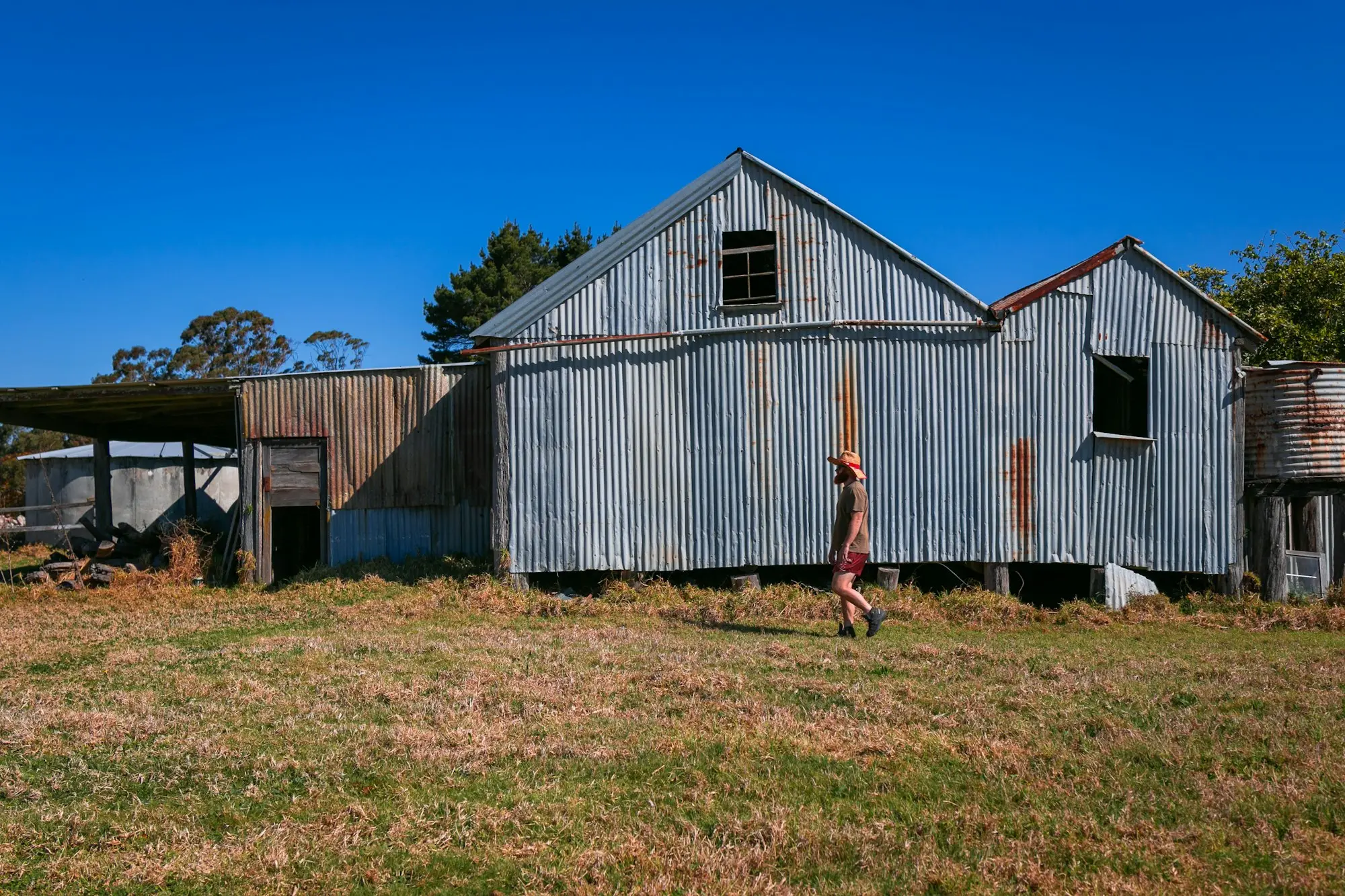 Person walking past a weathered farm shed