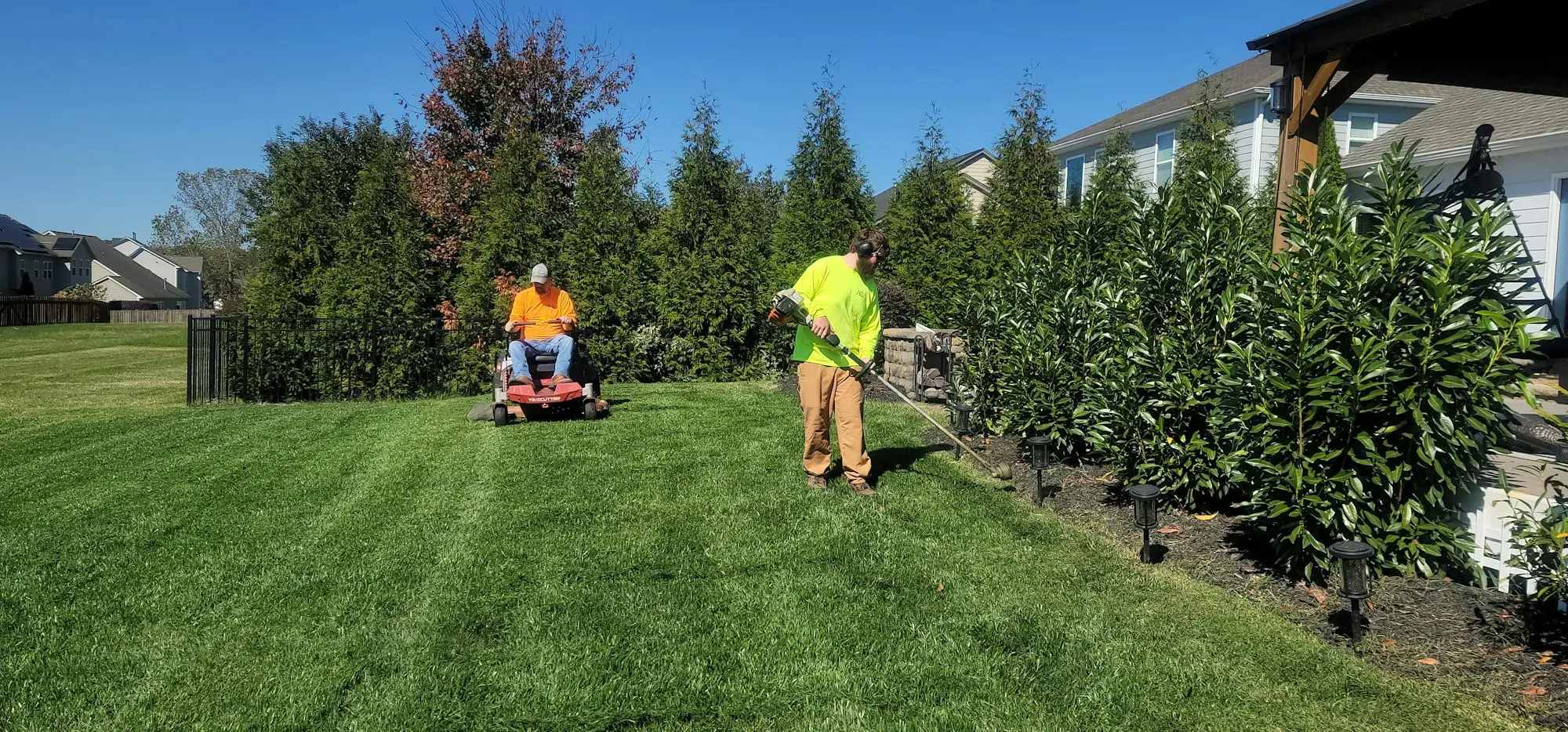 Landscaper mowing a client's lawn with a ride-on mower