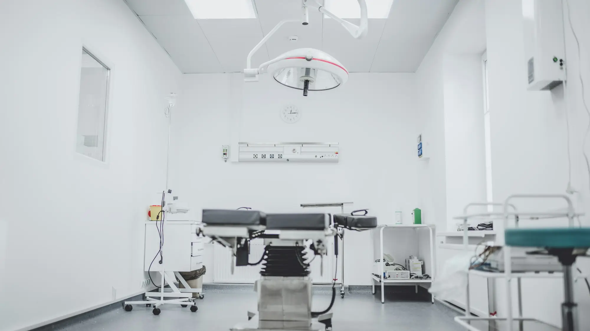 Veterinary operating room with a surgical table and lights